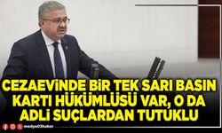 Cezaevinde bir tek sarı basın kartı hükümlüsü var, o da adli suçlardan tutuklu