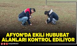 Afyon’da ekili hububat alanları kontrol ediliyor