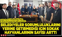 Belediyeler sorumluluklarını yerine getirmediği için sokak hayvanlarının sayısı arttı