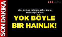 Yok böyle bir hainlik!