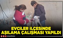 Evciler İlçesinde aşılama çalışması yapıldı