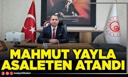 Mahmut Yayla asaleten atandı