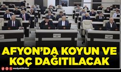 Afyon’da koyun ve koç dağıtılacak