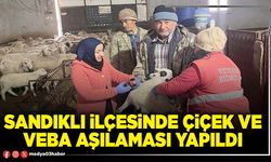 Sandıklı İlçesinde çiçek ve veba aşılaması yapıldı