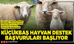 Küçükbaş hayvan destek başvuruları başlıyor