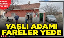 Yaşlı adamı fareler yedi!