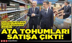 Ata tohumları satışa çıktı!