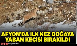 Afyon’da ilk kez doğaya yaban keçisi bırakıldı