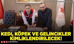 Kedi, köpek ve gelincikler kimliklendirilecek!