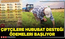 Çiftçilere hububat desteği ödemeleri başlıyor