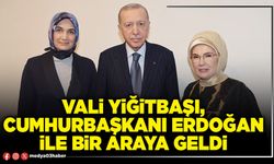 Vali Yiğitbaşı, Cumhurbaşkanı Erdoğan ile bir araya geldi