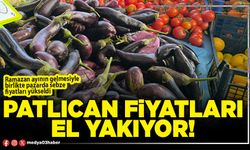 Patlıcan fiyatları el yakıyor!