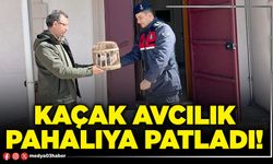 Kaçak avcılık pahalıya patladı!