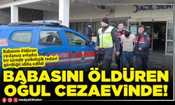 Babasını öldüren oğul cezaevinde!