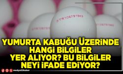 Yumurta kabuğu üzerinde hangi bilgiler yer alıyor? Bu bilgiler neyi ifade ediyor?