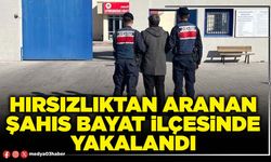 Hırsızlıktan aranan şahıs Bayat ilçesinde yakalandı