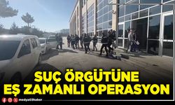 Suç örgütüne eş zamanlı operasyon