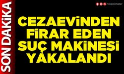 Cezaevinden firar eden suç makinesi yakalandı