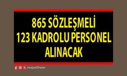 865 sözleşmeli 123 kadrolu personel alınacak