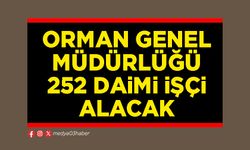 Orman Genel Müdürlüğü 252 daimi işçi alacak