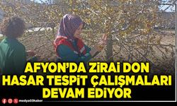 Afyon’da zirai don hasar tespit çalışmaları devam ediyor