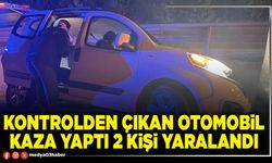 Kontrolden çıkan otomobil kaza yaptı 2 kişi yaralandı