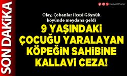 9 Yaşındaki çocuğu yaralayan köpeğin sahibine kallavi ceza!