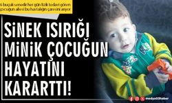 Sinek ısırığı minik çocuğun hayatını kararttı!