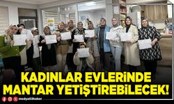 Kadınlar evlerinde mantar yetiştirebilecek!
