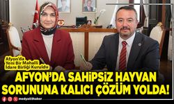 Afyon’da sahipsiz hayvan sorununa kalıcı çözüm yolda!
