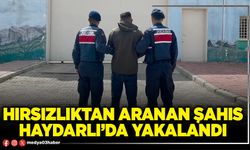 Hırsızlıktan aranan şahıs Haydarlı’da yakalandı