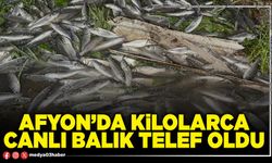Afyon’da kilolarca canlı balık telef oldu