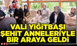 Vali Yiğitbaşı şehit anneleriyle bir araya geldi