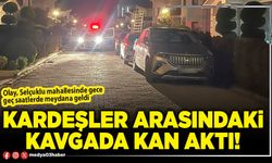 Afyon’da kardeşler arasındaki kavgada kan aktı!