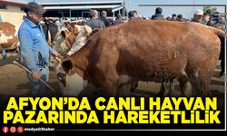 Afyon’da canlı hayvan pazarında hareketlilik
