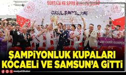 Şampiyonluk Kupaları Kocaeli Ve Samsun’a gitti