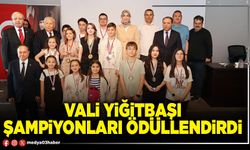 Vali Yiğitbaşı şampiyonları ödüllendirdi