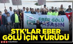 STK’lar Eber gölü için yürüdü