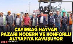 Çayırbağ hayvan pazarı modern ve konforlu altyapıya kavuşuyor