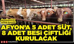 Afyon’a 5 adet süt, 8 adet besi çiftliği kurulacak