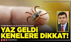 Yaz geldi kenelere dikkat!
