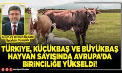 Türkiye, küçükbaş ve büyükbaş hayvan sayısında Avrupa’da birinciliğe yükseldi!