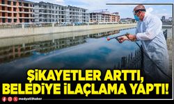 Şikayetler arttı, Belediye ilaçlama yaptı!