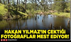 Hakan Yılmaz’ın çektiği fotoğraflar mest ediyor!