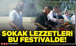 Sokak lezzetleri bu festivalde!