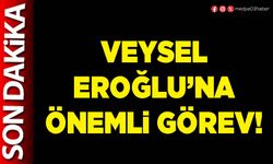 Veysel Eroğlu’na önemli görev!