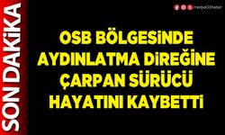 OSB bölgesinde aydınlatma direğine çarpan sürücü hayatını kaybetti