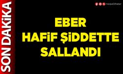Eber hafif şiddette sallandı