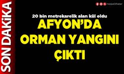 Afyon’da orman yangını çıktı