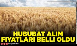 Hububat alım fiyatları belli oldu